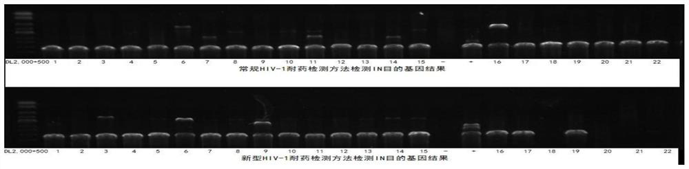 Establishment and application of new HIV-1 drug resistance detection method