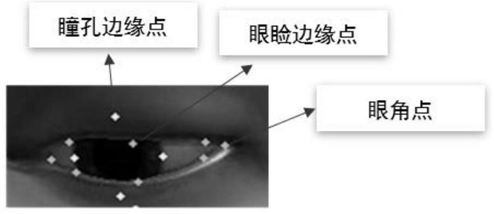 Eye tracking method and system driven by multi-model fusion for mobile devices