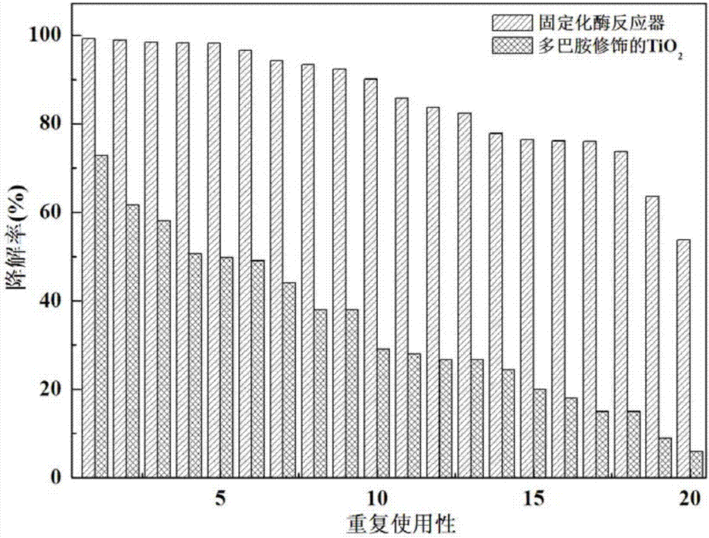 TiO2 immobilized enzyme reactor and application thereof