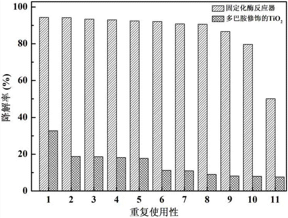 TiO2 immobilized enzyme reactor and application thereof