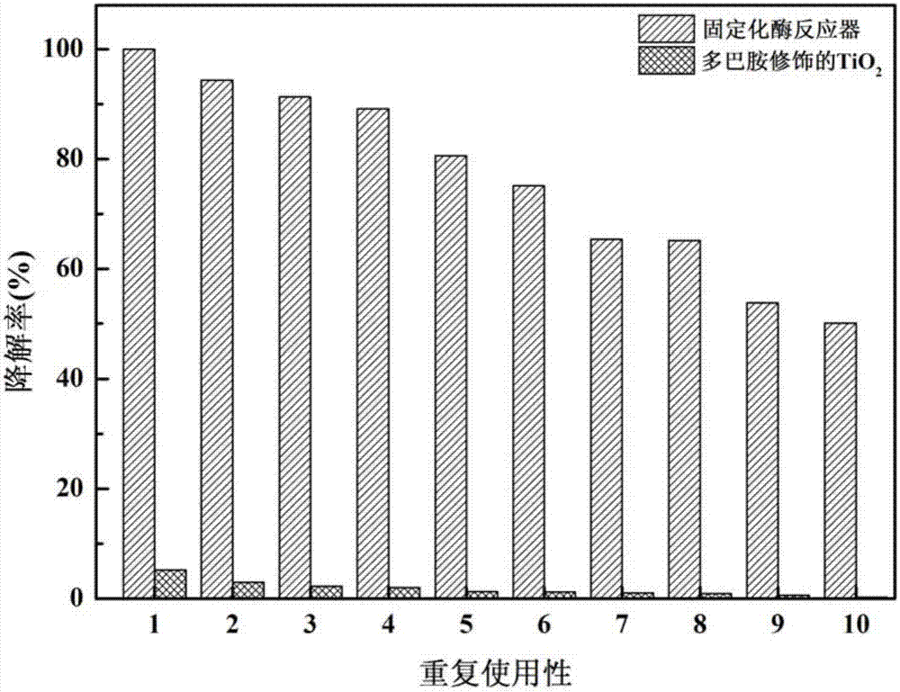 TiO2 immobilized enzyme reactor and application thereof