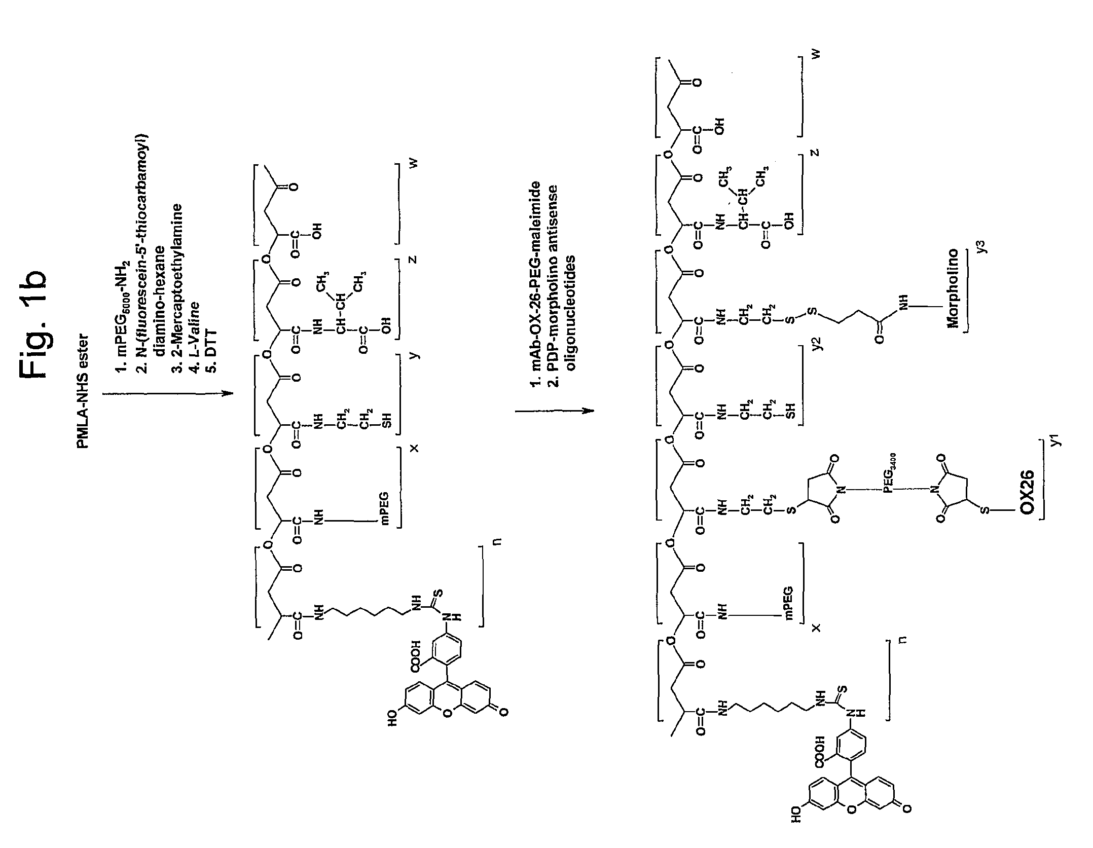 Polymalic acid-based multi-functional drug delivery system