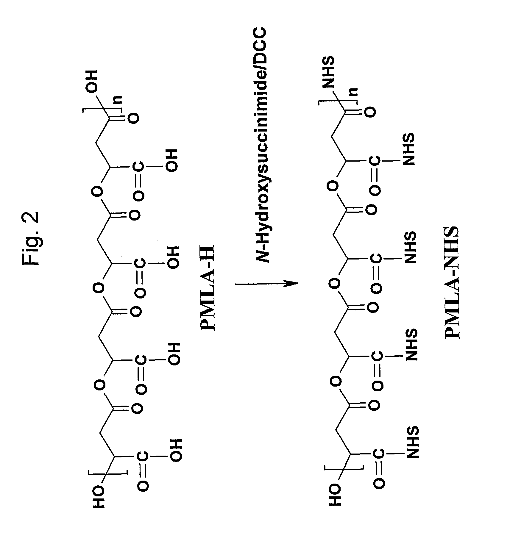 Polymalic acid-based multi-functional drug delivery system