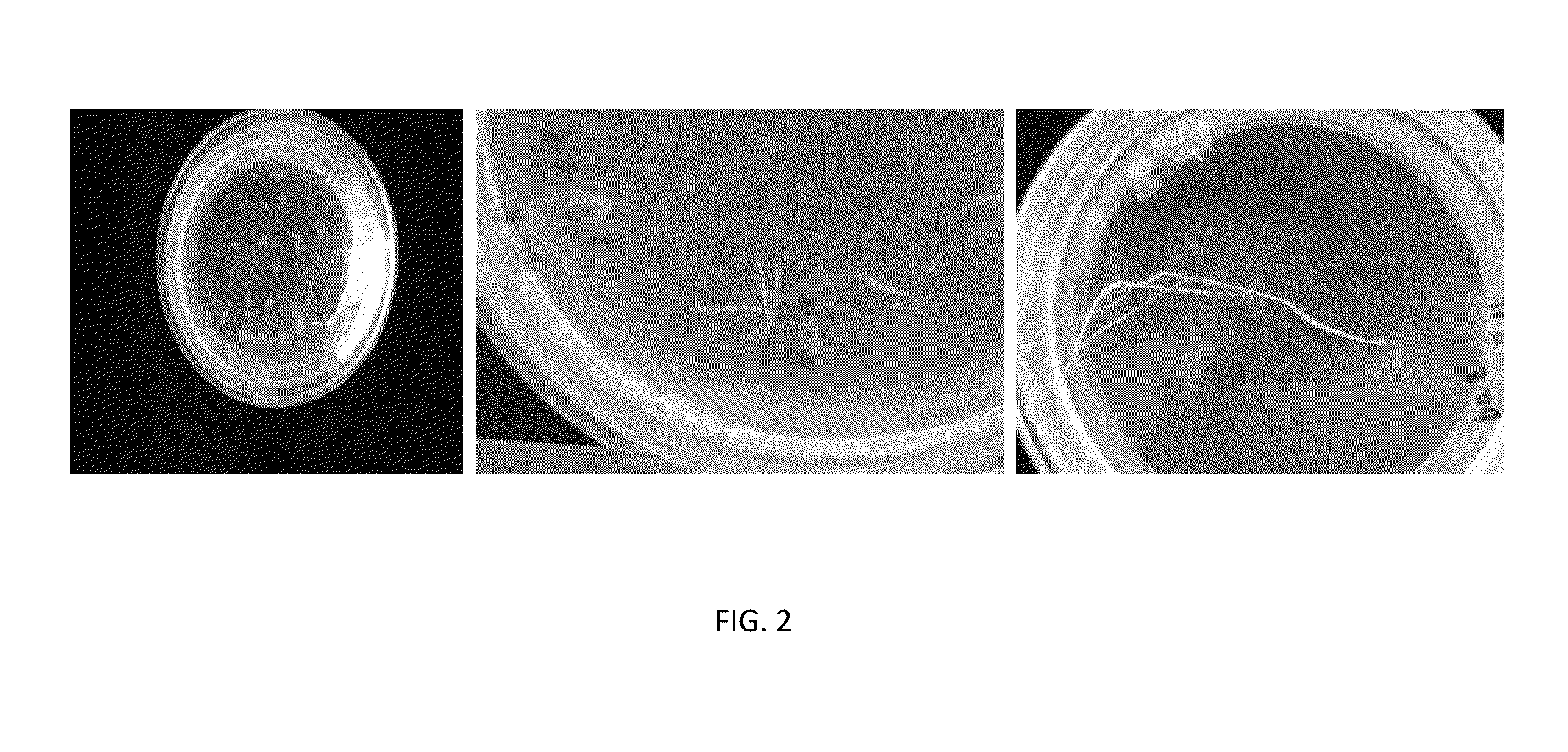 Method for enhanced production of morinda metabolites