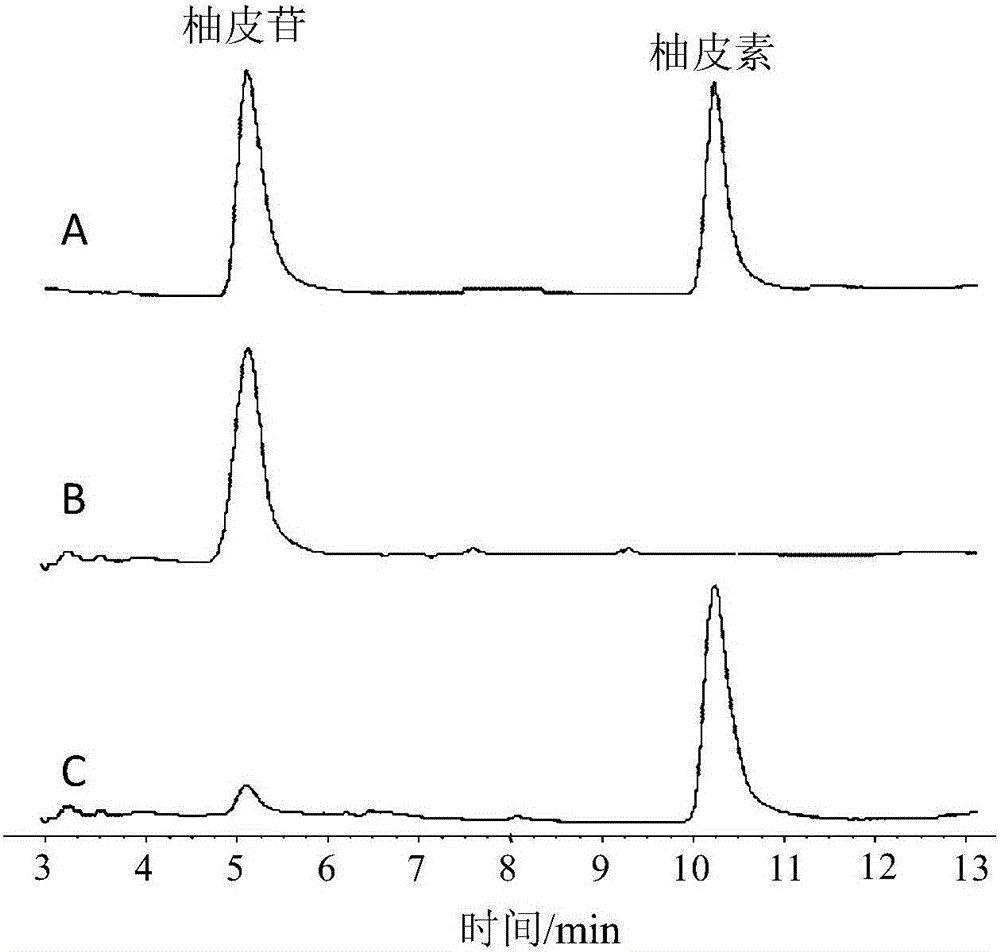 Aspergillus niger HC306 and application of aspergillus niger HC306 to prepare naringenin through naringin conversion