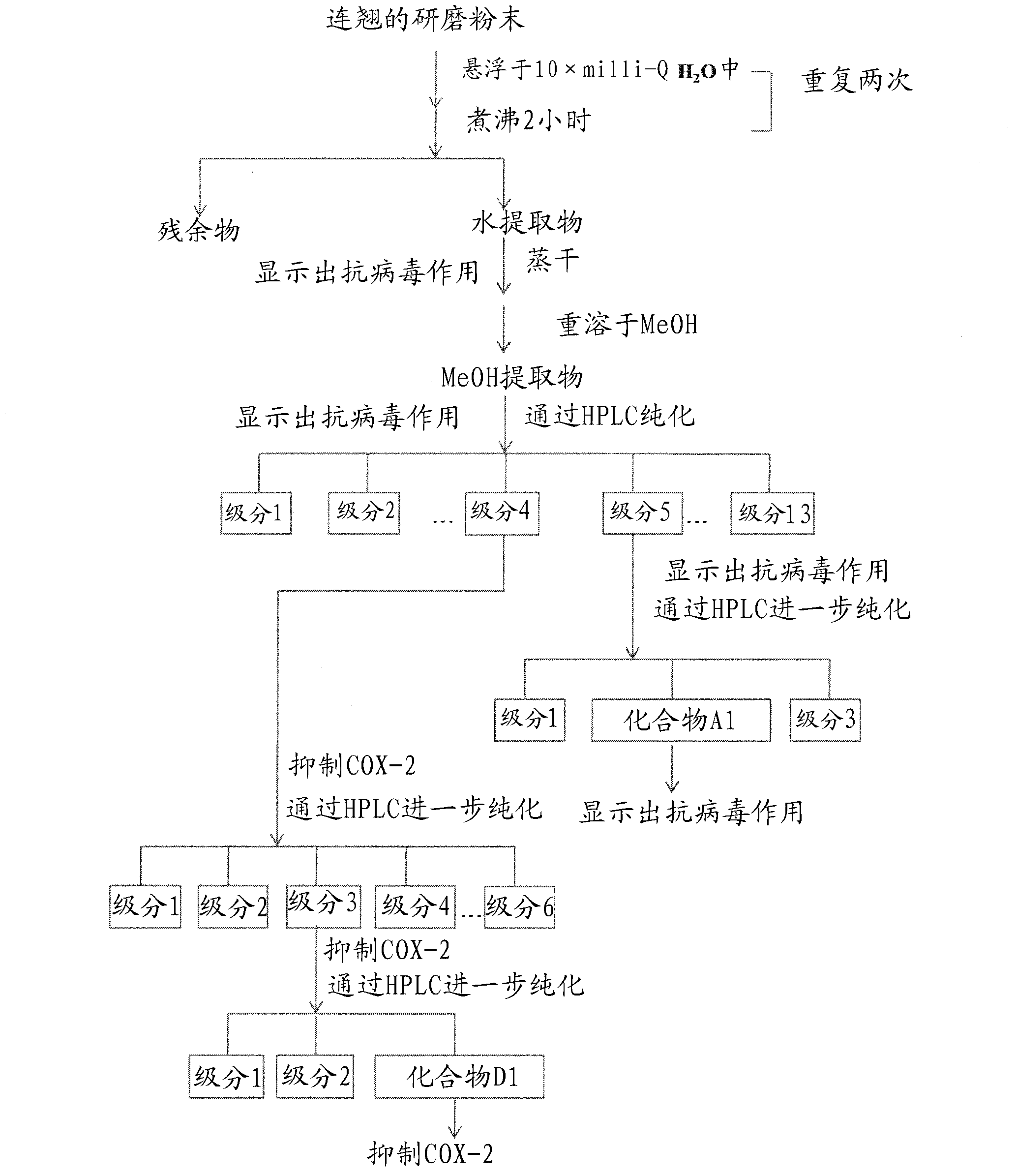 Materials and methods for prevention and treatment of viral infections