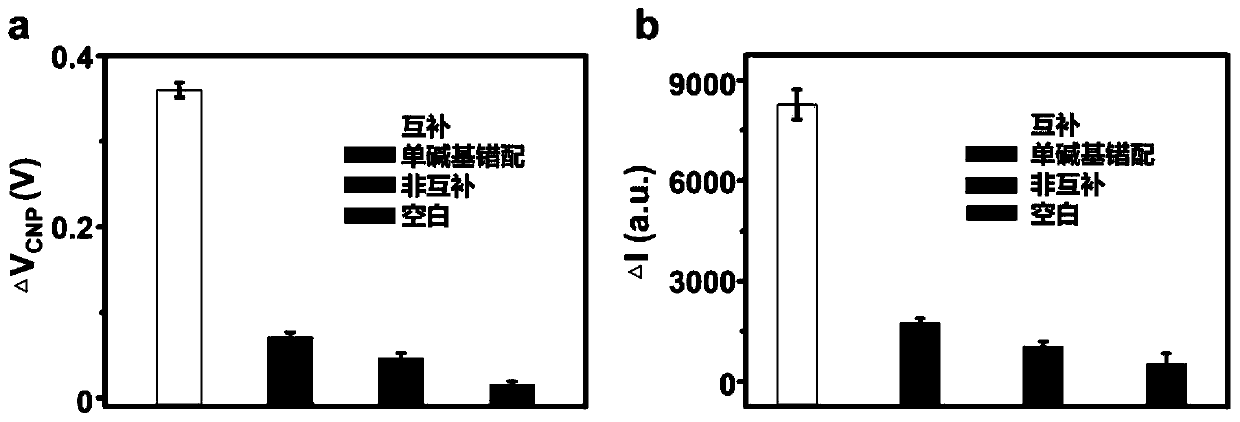 Self-calibration double-signal biosensor and application thereof in miRNA detection