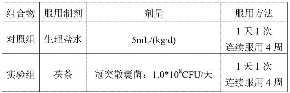 Application of Fuzhuan tea in regulation of animal intestinal flora