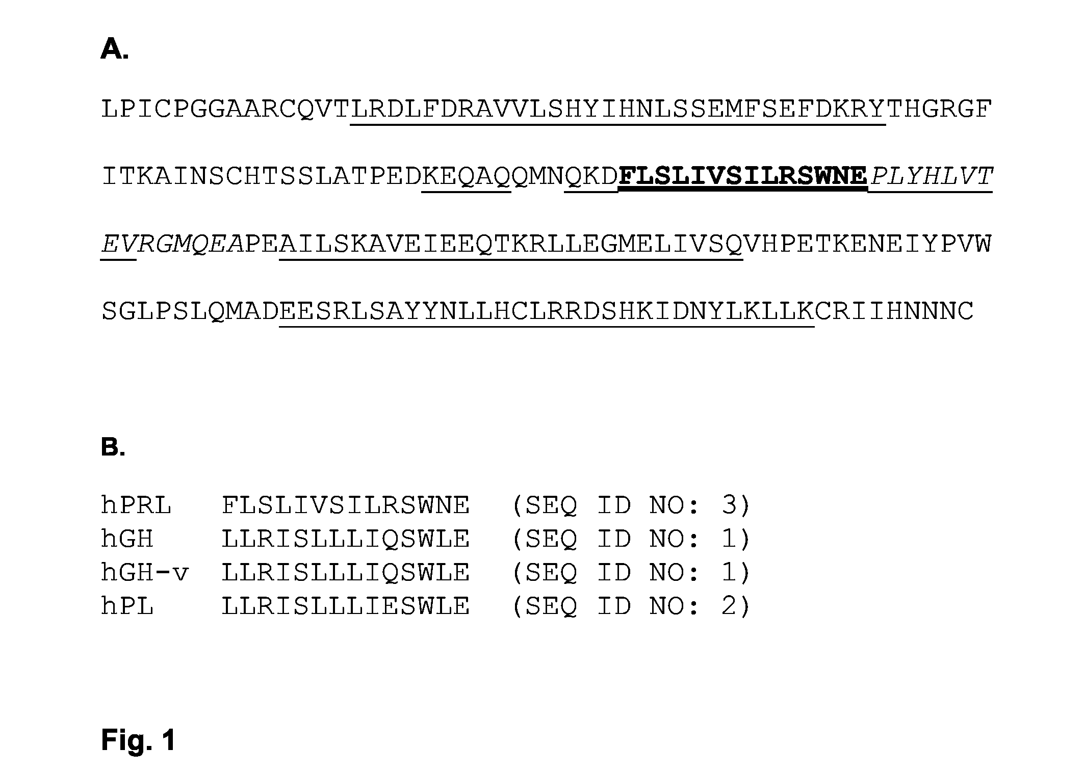 Antiangiogenic Peptides