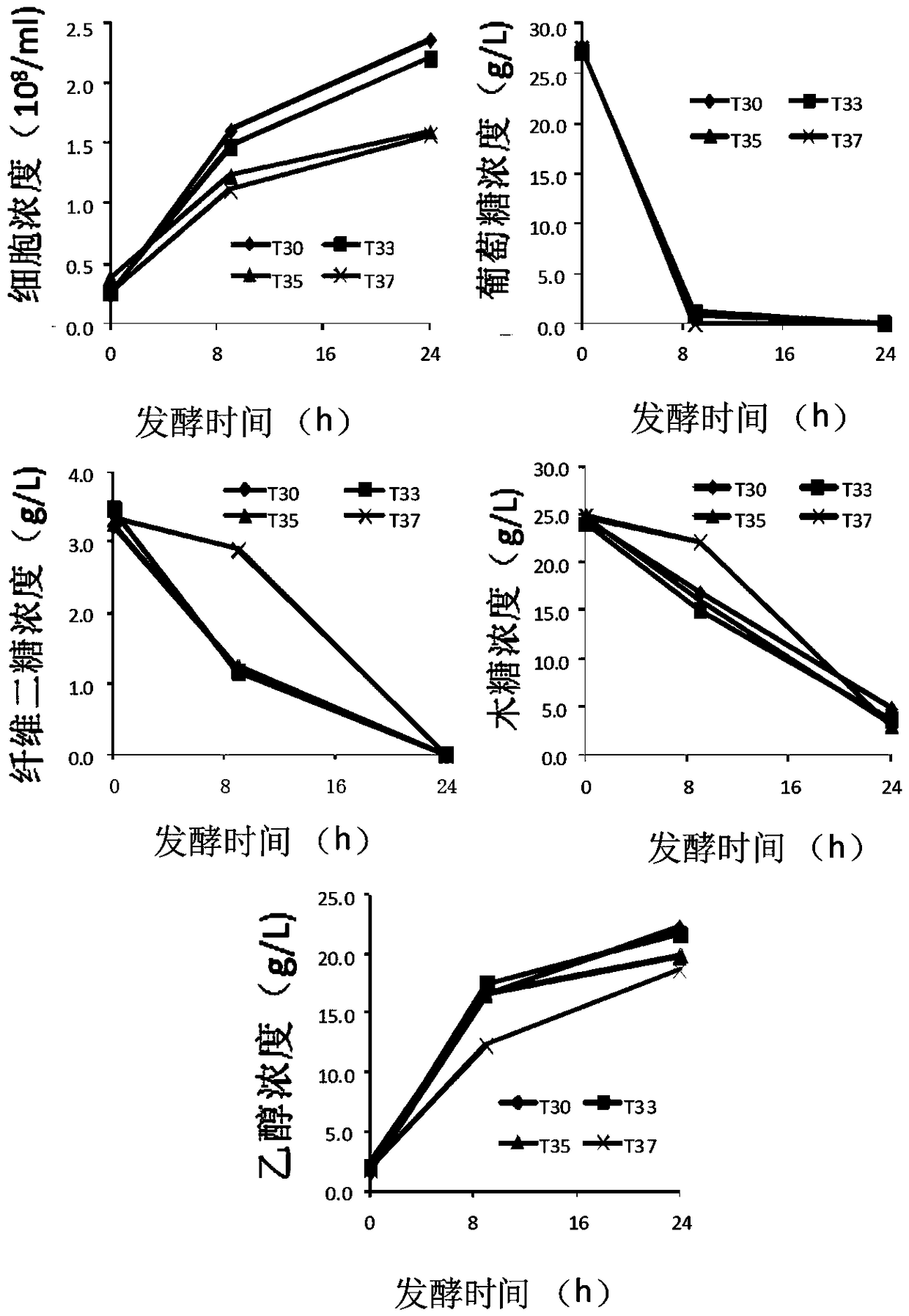 A Saccharomyces cerevisiae strain and its construction method for rapidly fermenting xylose to produce ethanol