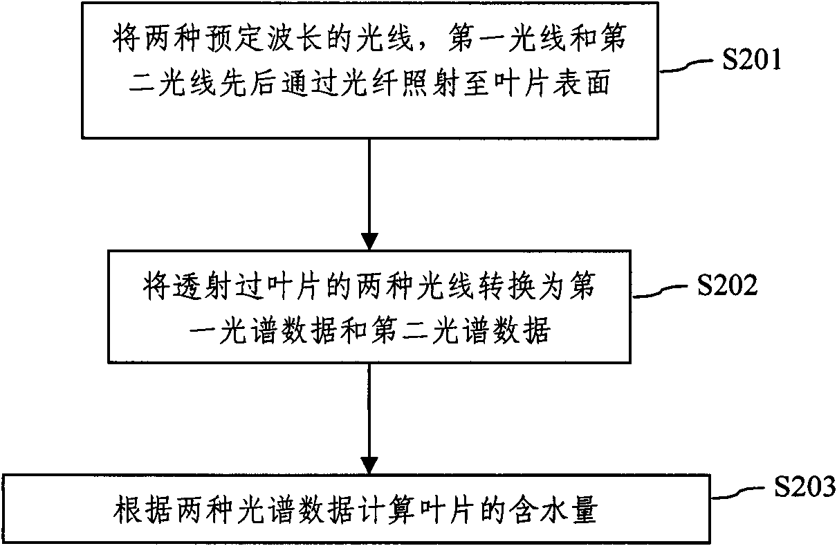 Leaf water near infrared non-destructive testing device and method in light open environment