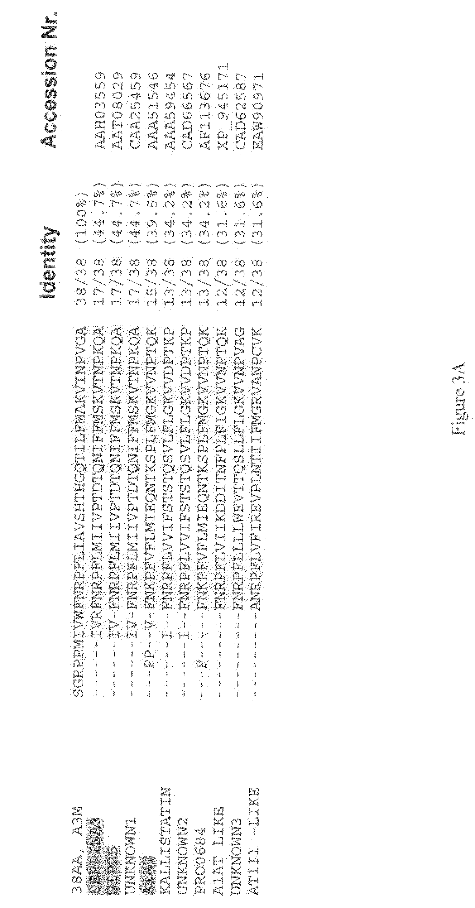 Compositions and methods for diagnosis and treatment of type 2 diabetes