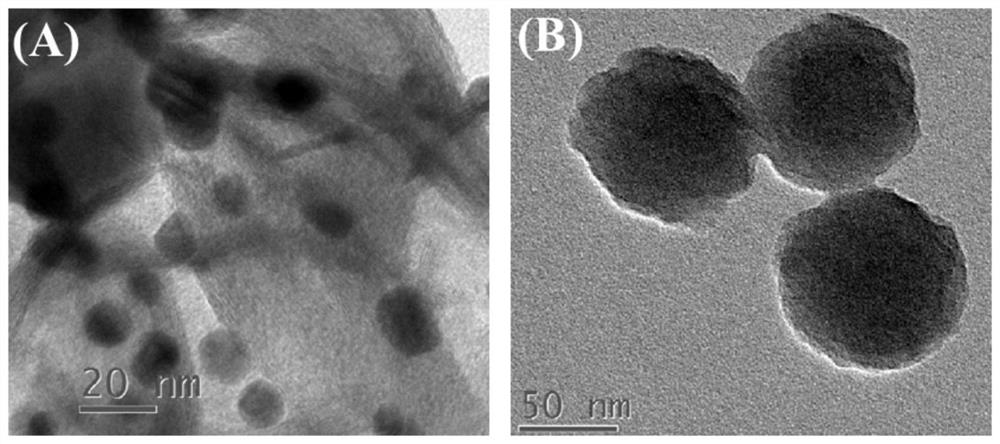 A photoelectrochemical detection method for ochratoxin a based on double signal amplification