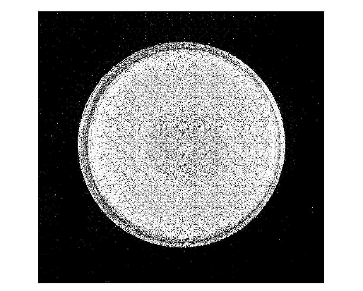 Glyphosate-resistant herbicide gene AroA-Ra from grape crown gall antagonistic bacteria rahnella aquatilis and application thereof