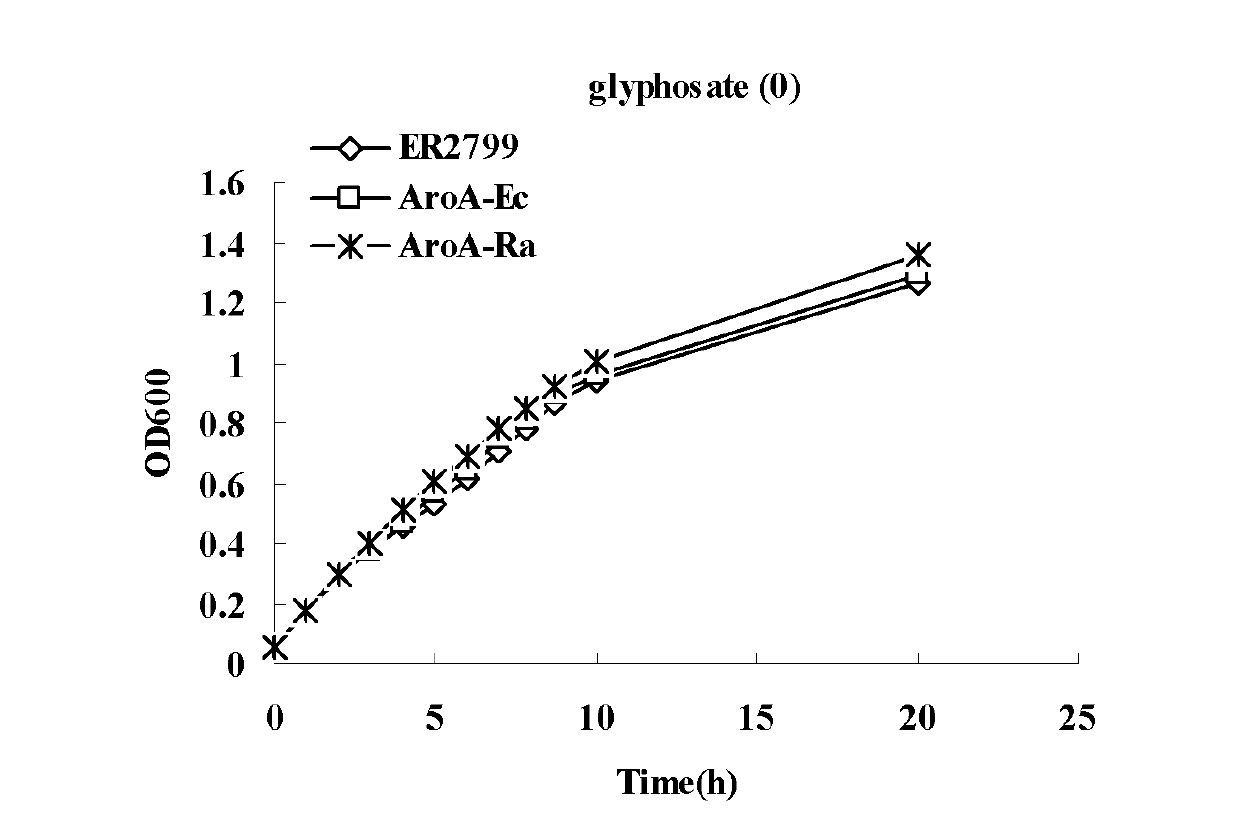 Glyphosate-resistant herbicide gene AroA-Ra from grape crown gall antagonistic bacteria rahnella aquatilis and application thereof