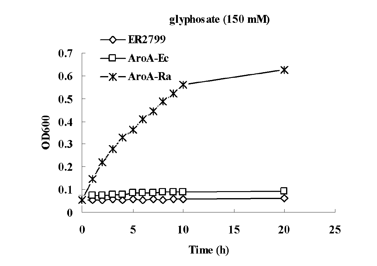 Glyphosate-resistant herbicide gene AroA-Ra from grape crown gall antagonistic bacteria rahnella aquatilis and application thereof