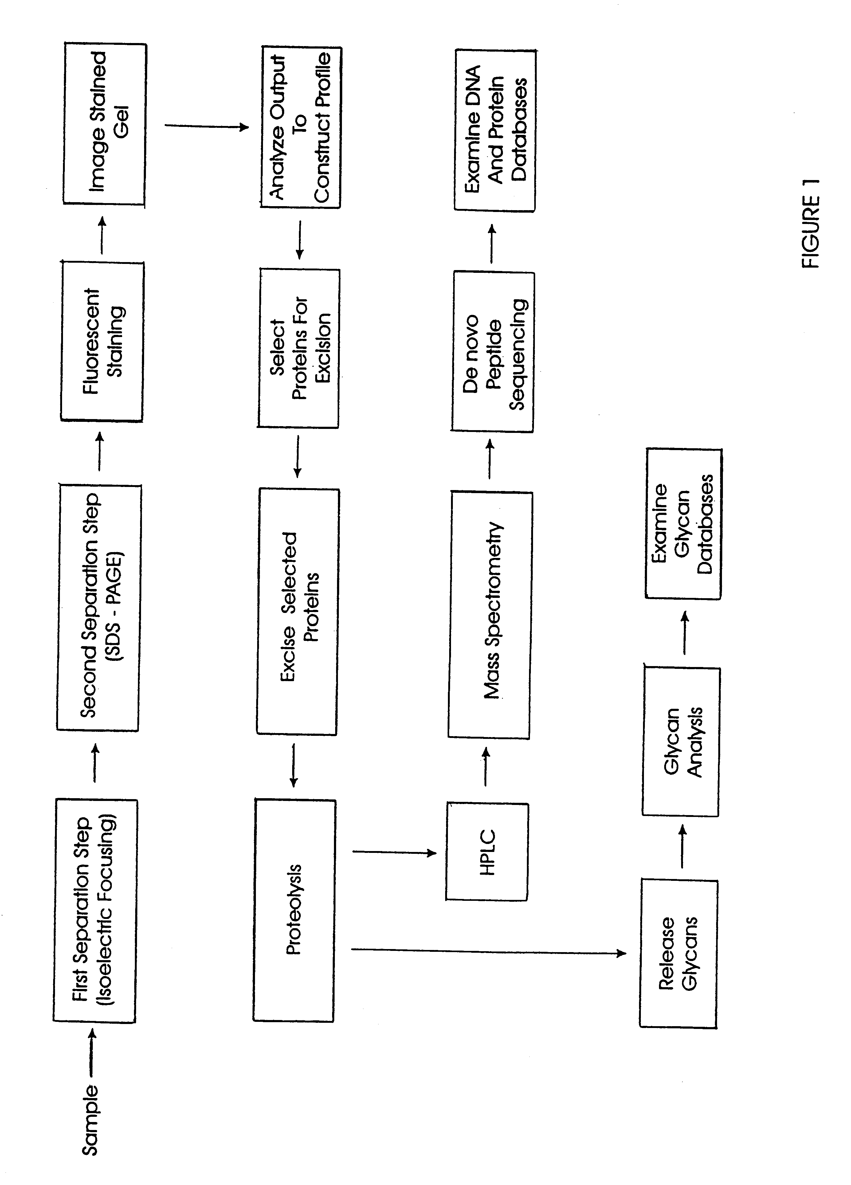 Computer-assisted isolation and characterization of proteins