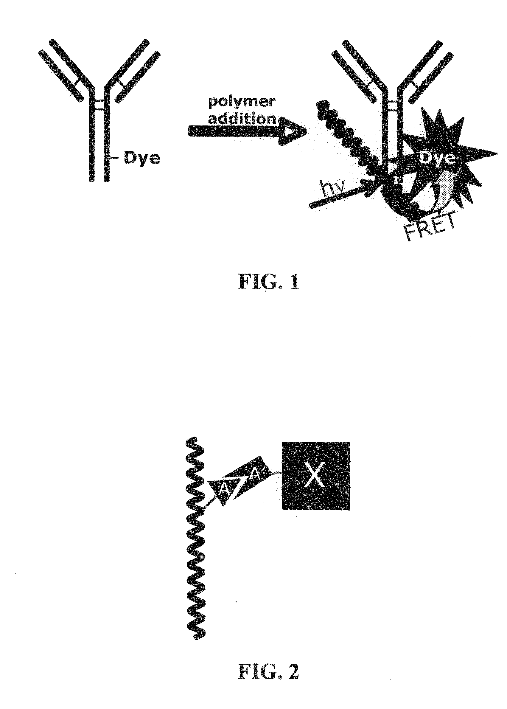 Novel reagents for directed biomarker signal amplification