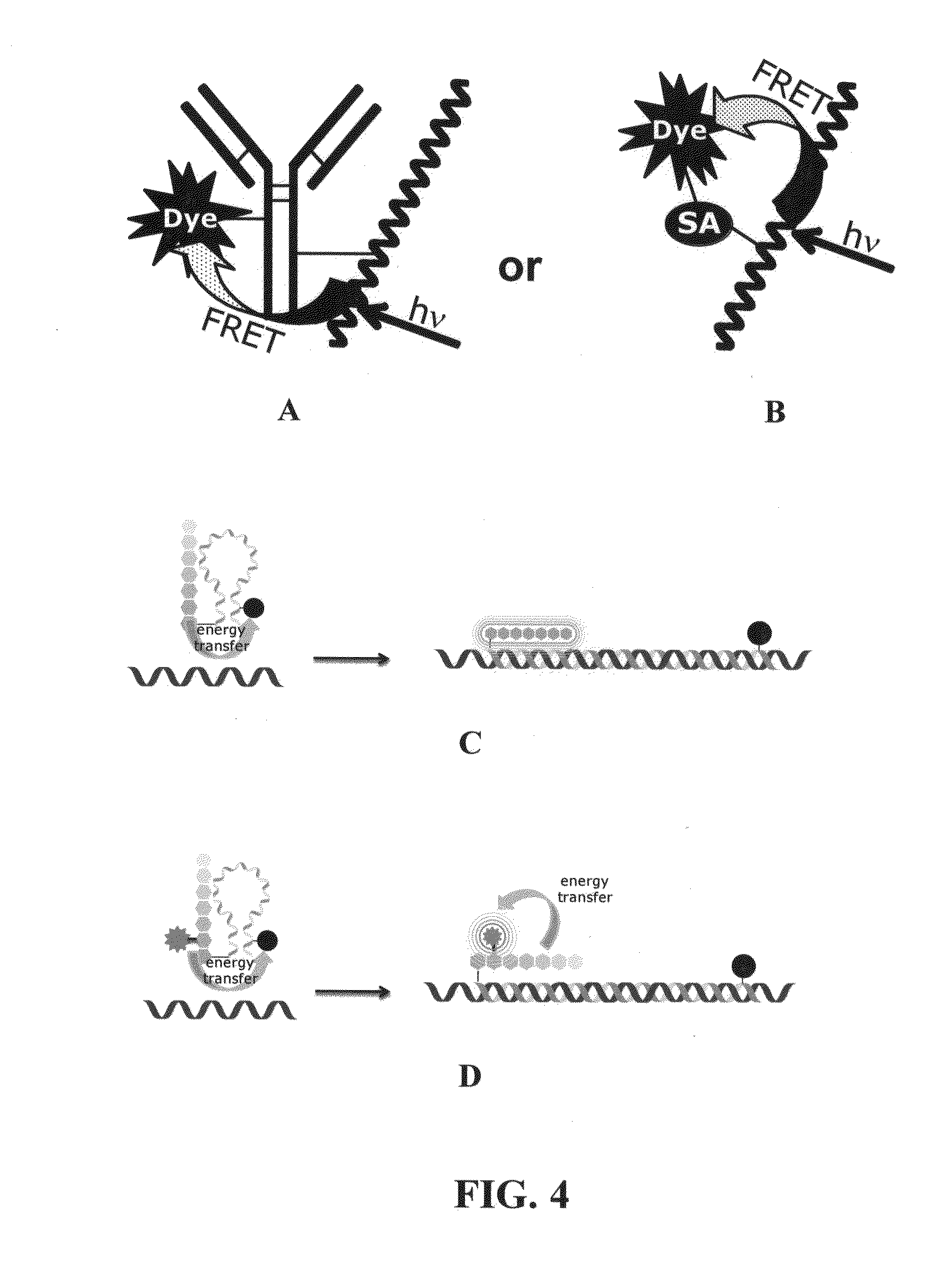 Novel reagents for directed biomarker signal amplification