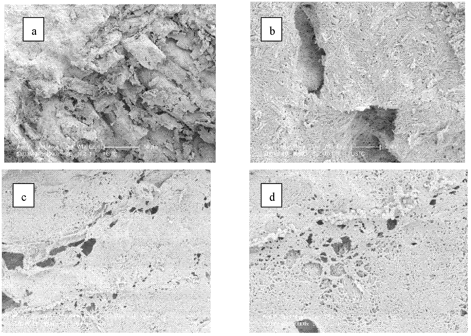 Biological aerated filter packing and preparation method thereof