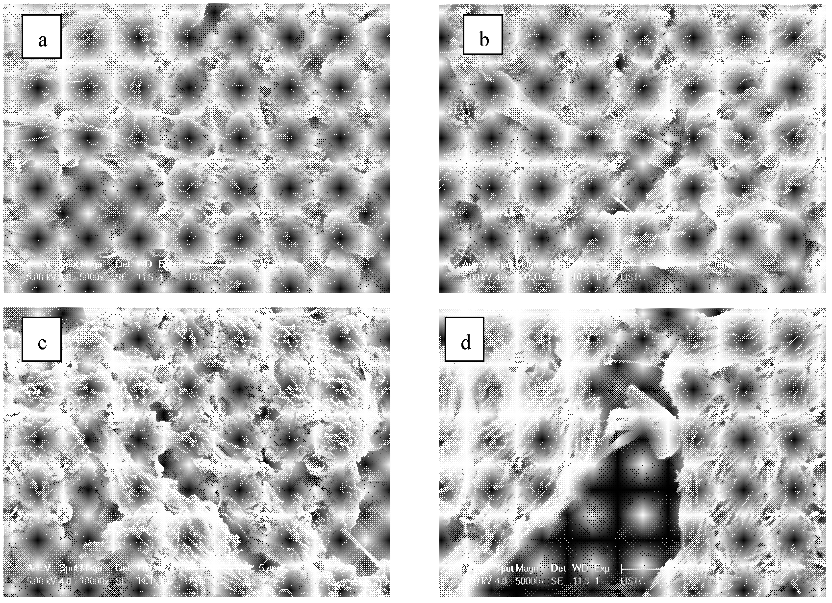 Biological aerated filter packing and preparation method thereof