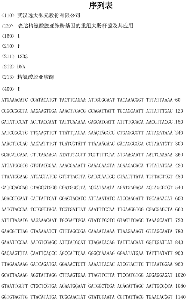 Recombinant Escherichia coli for expressing arginine deiminase gene and application of recombinant Escherichia coli