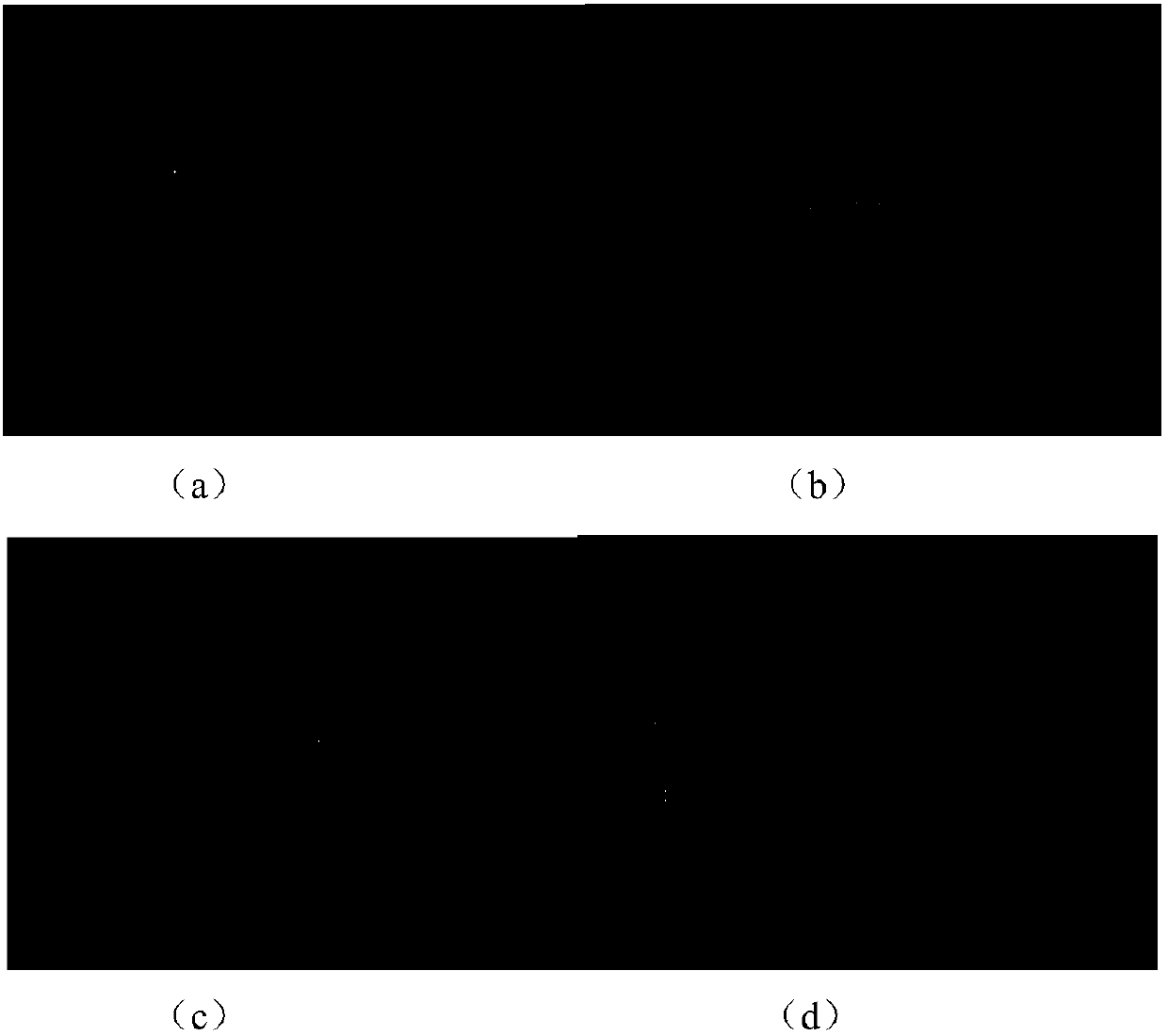 Measurement method of denucleation amount