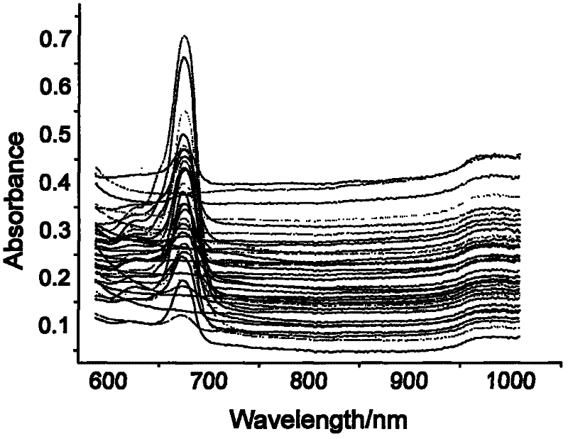 Rapid detection method for mango hardness