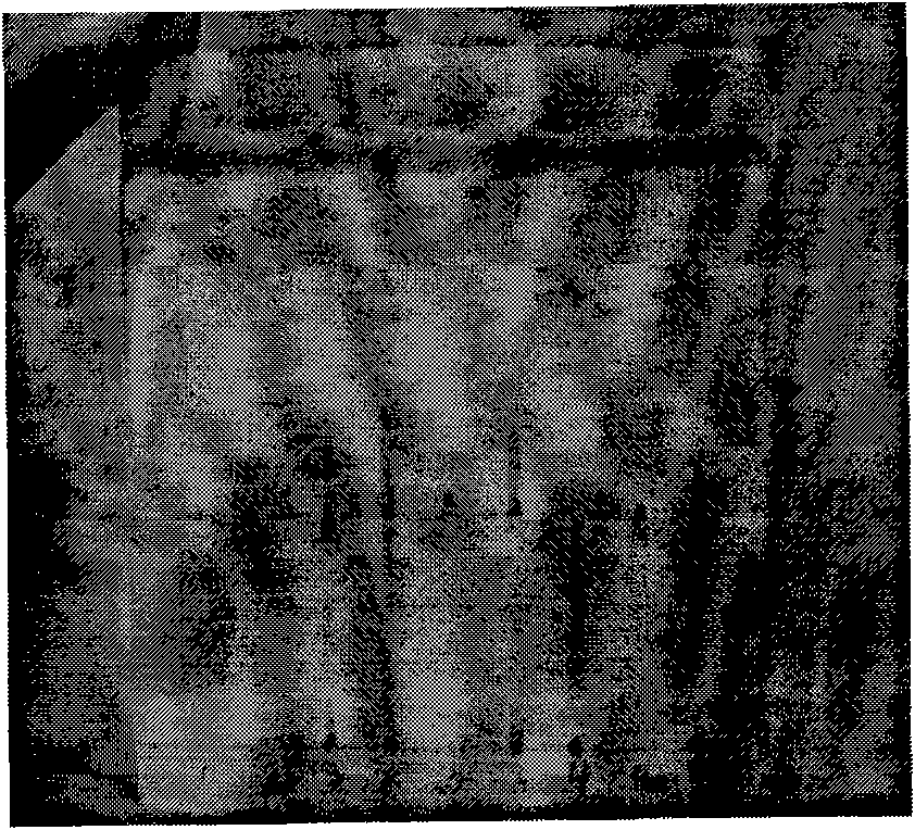 Method for preparing open-loop lovastatin