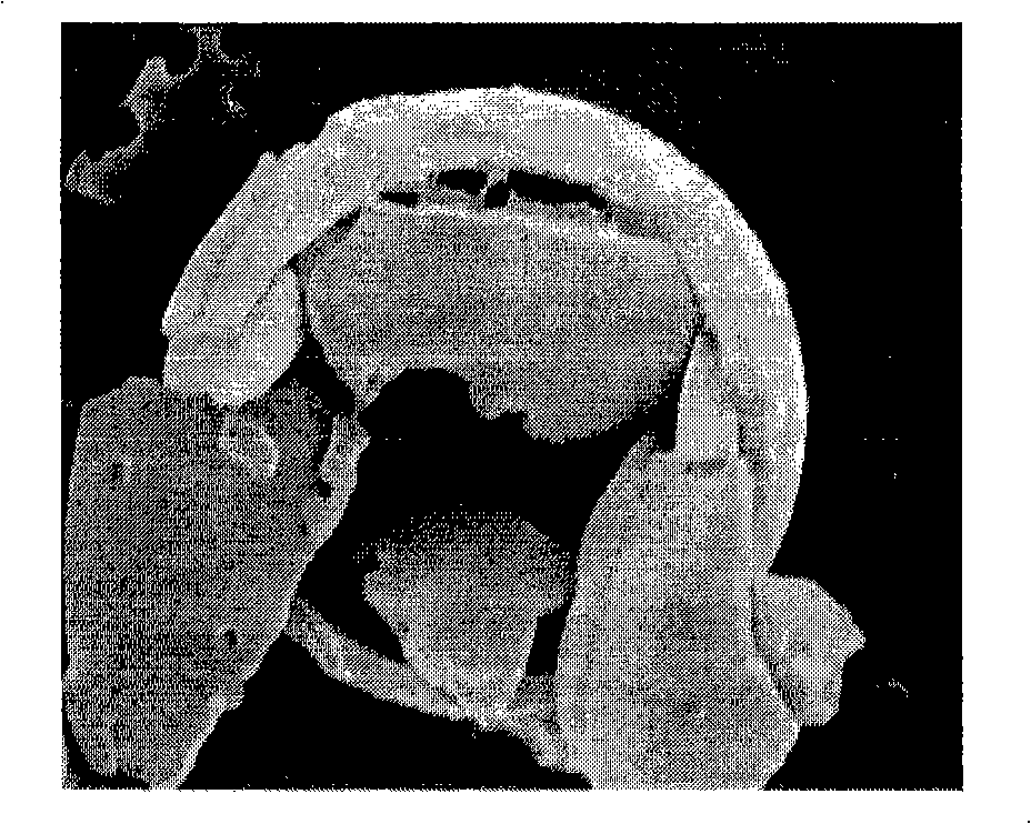 Epoxy resin micro-capsule and its preparation method