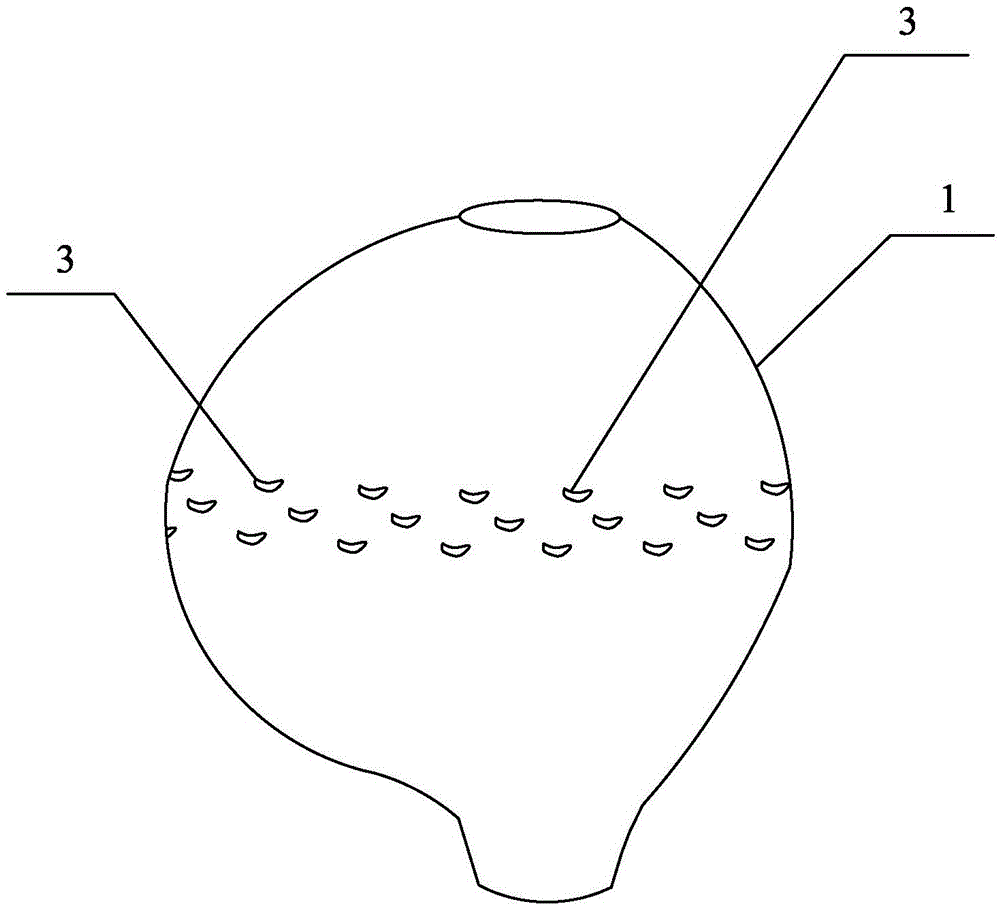 Ceramic natural plant decorating craft and preparation method thereof