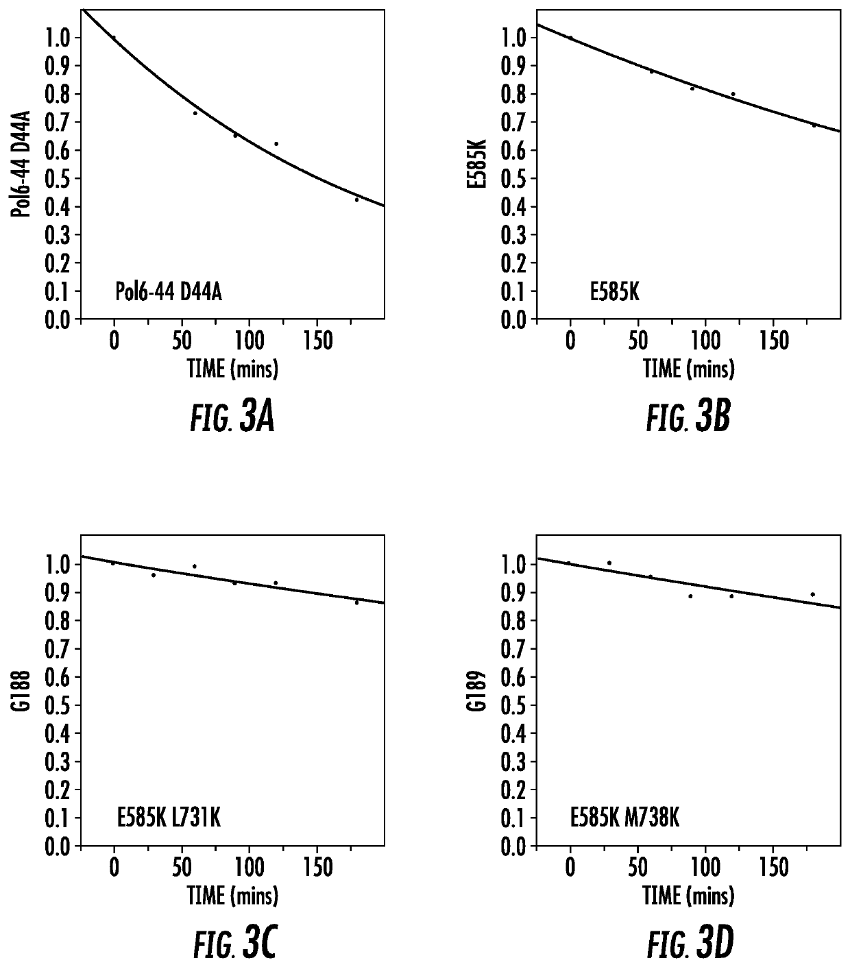 Polymerase variants