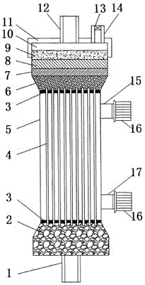 Electrolytic balance blood purification apparatus