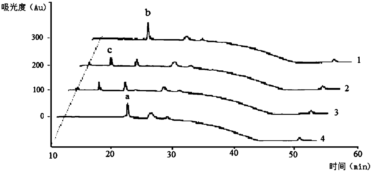 Double targeting hepatic tumor drug as well as synthetic method and application thereof