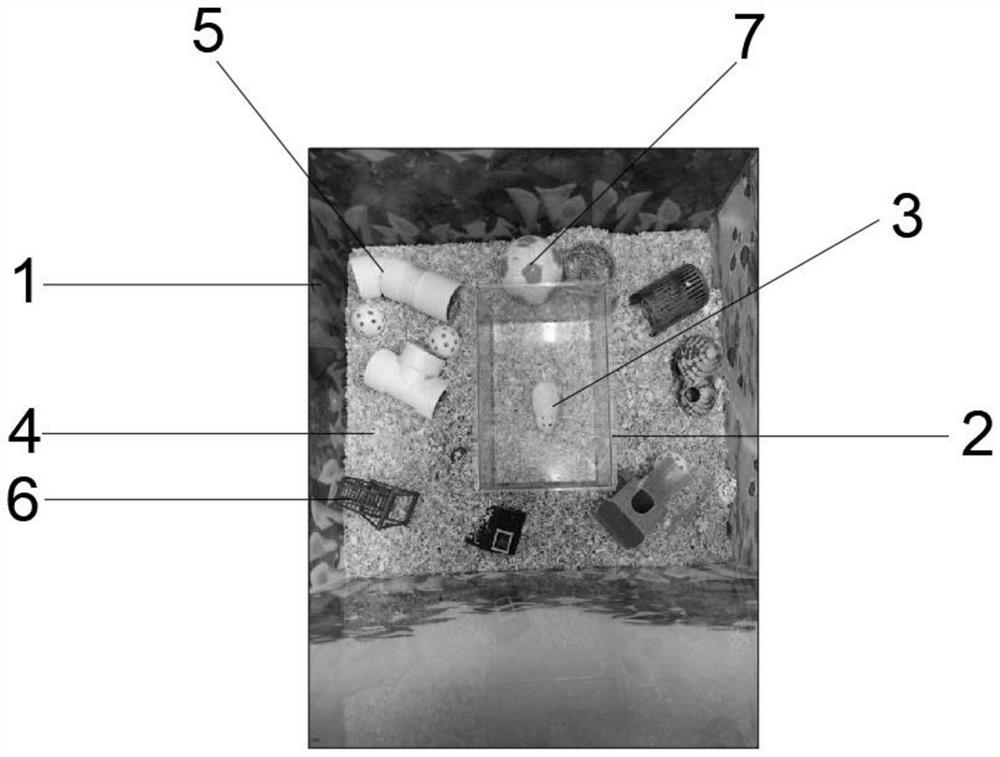 A comprehensive test method for rat cognitive behavior