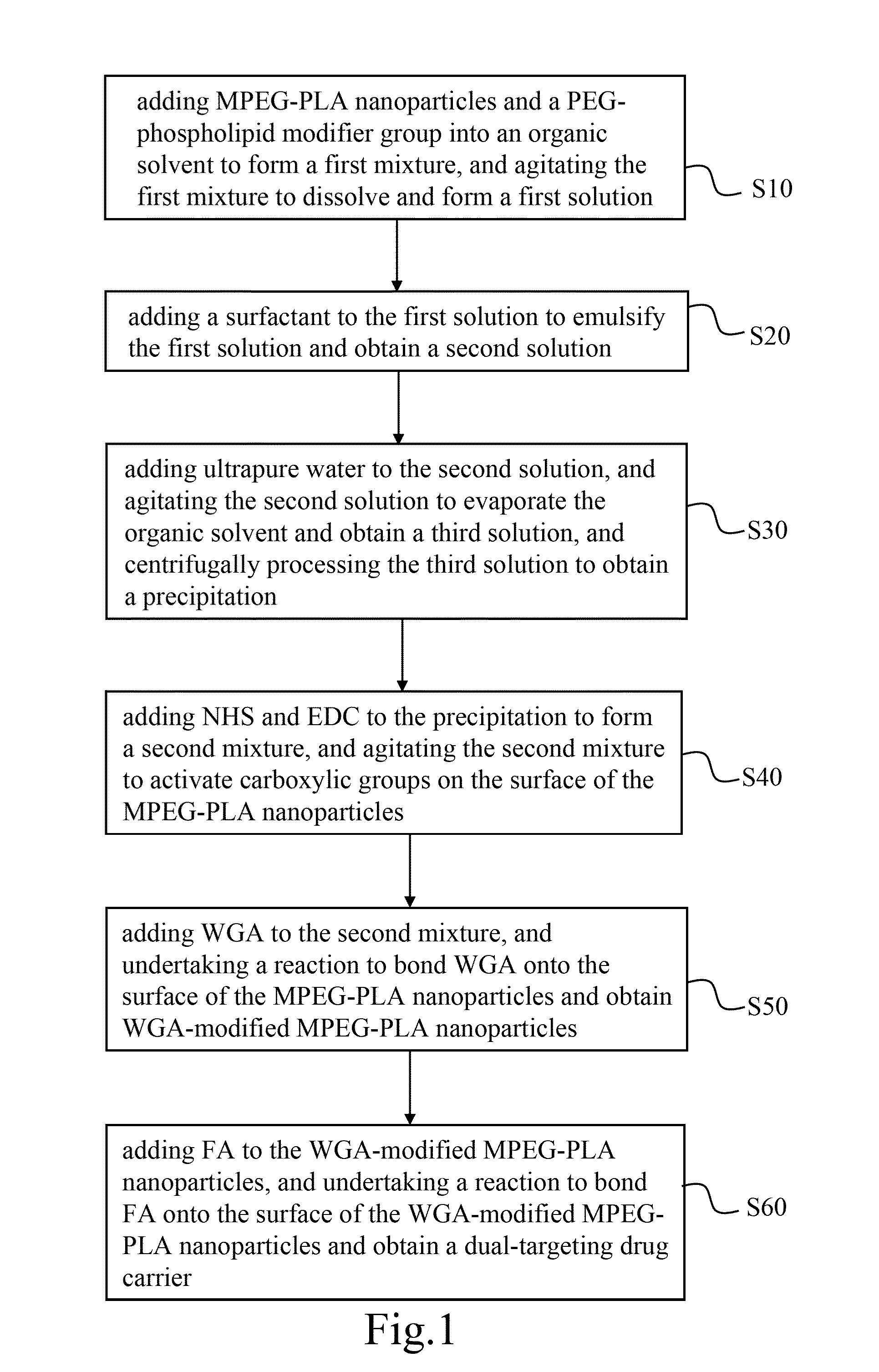 Dual-targeting drug carrier and method for fabricating the same