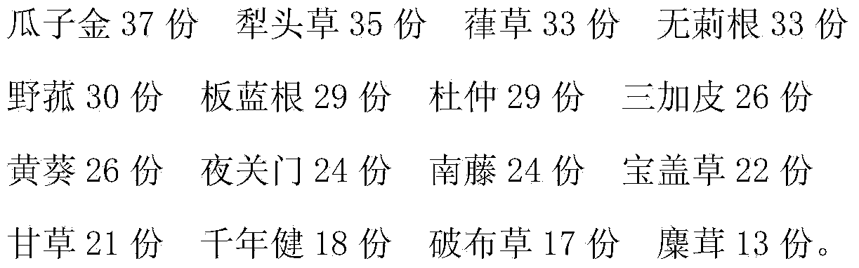 Medicine for treating chronic osteomyelitis and preparation method of medicine