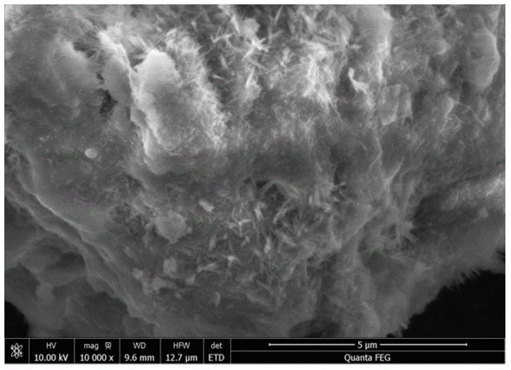 Desulfurization ash-fly ash self-activating pavement base material