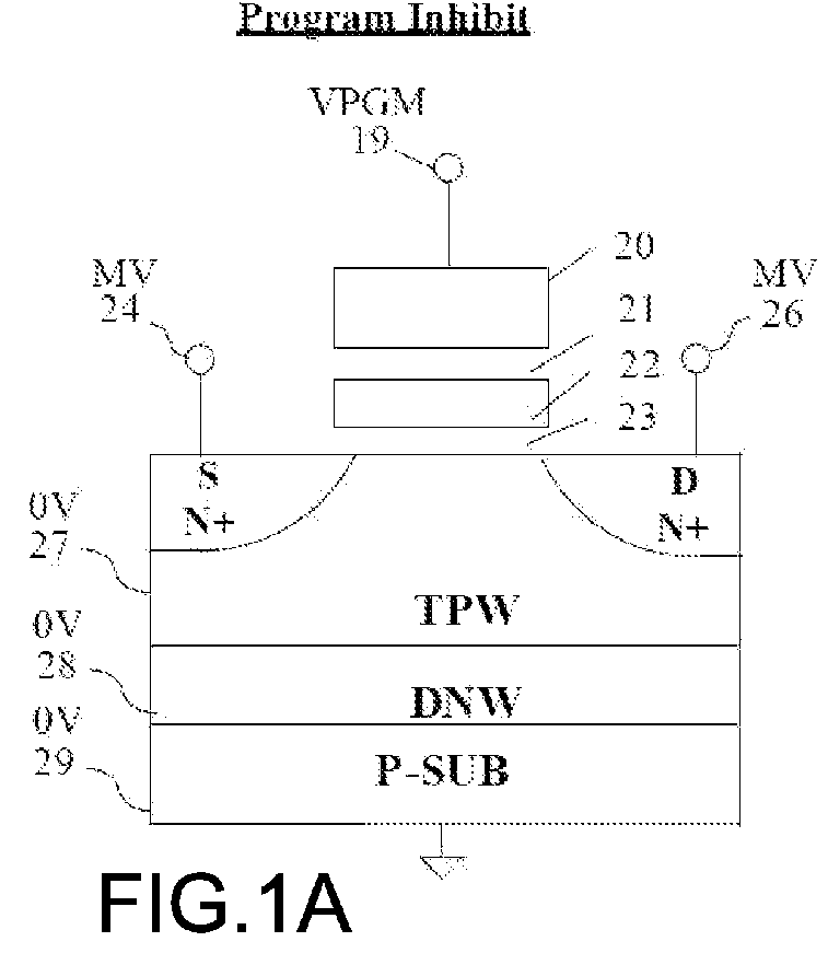 NAND array hiarchical BL structures for multiple-WL and all-BL simultaneous erase, erase-verify, program, program-verify, and read operations