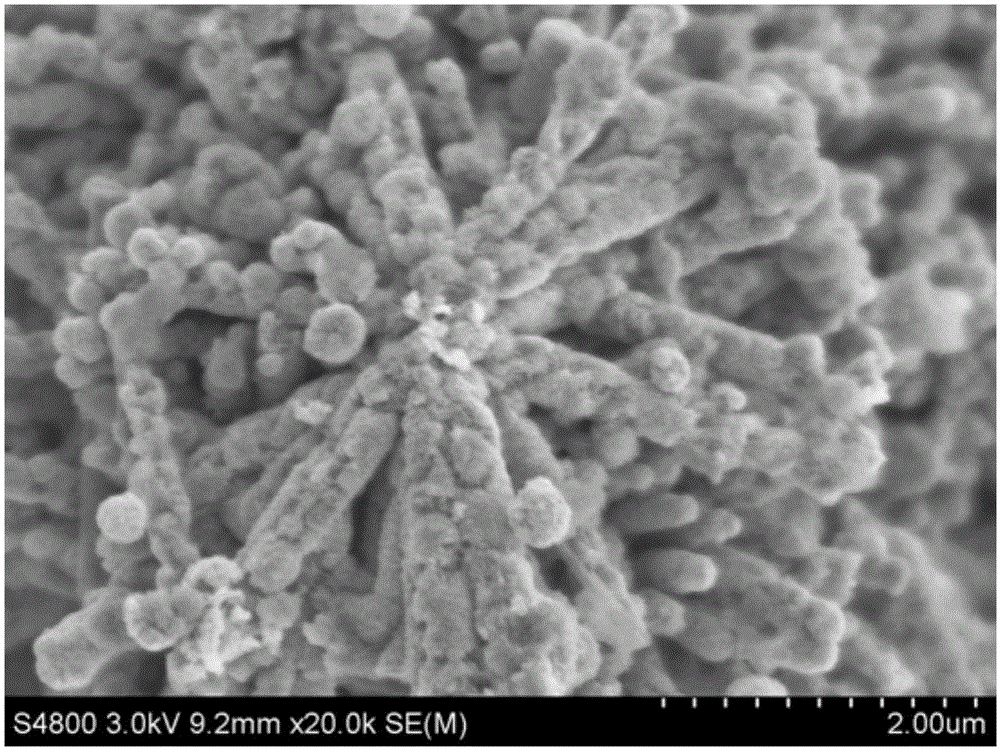 Preparation method for snowflake-shaped ZnO/BiOI composite material