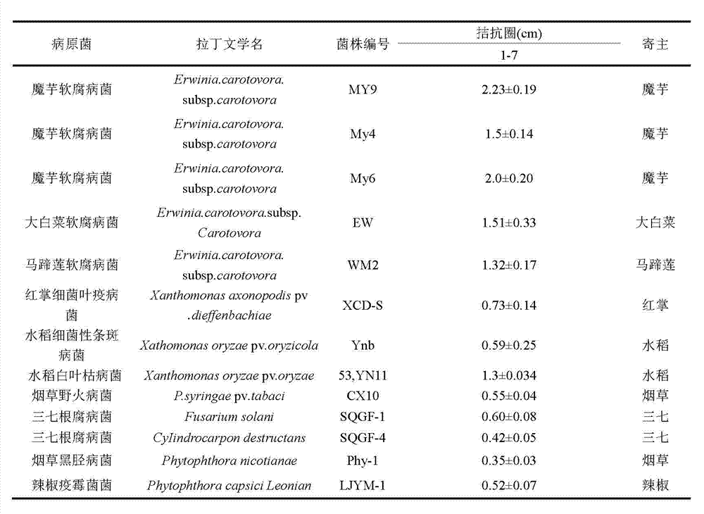 Konjak endophytic bacteria Pantoea agglomerans bacterial strain1-7 and application