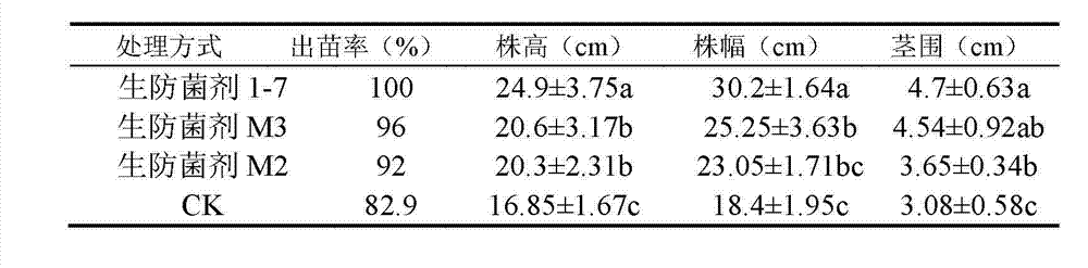 Konjak endophytic bacteria Pantoea agglomerans bacterial strain1-7 and application