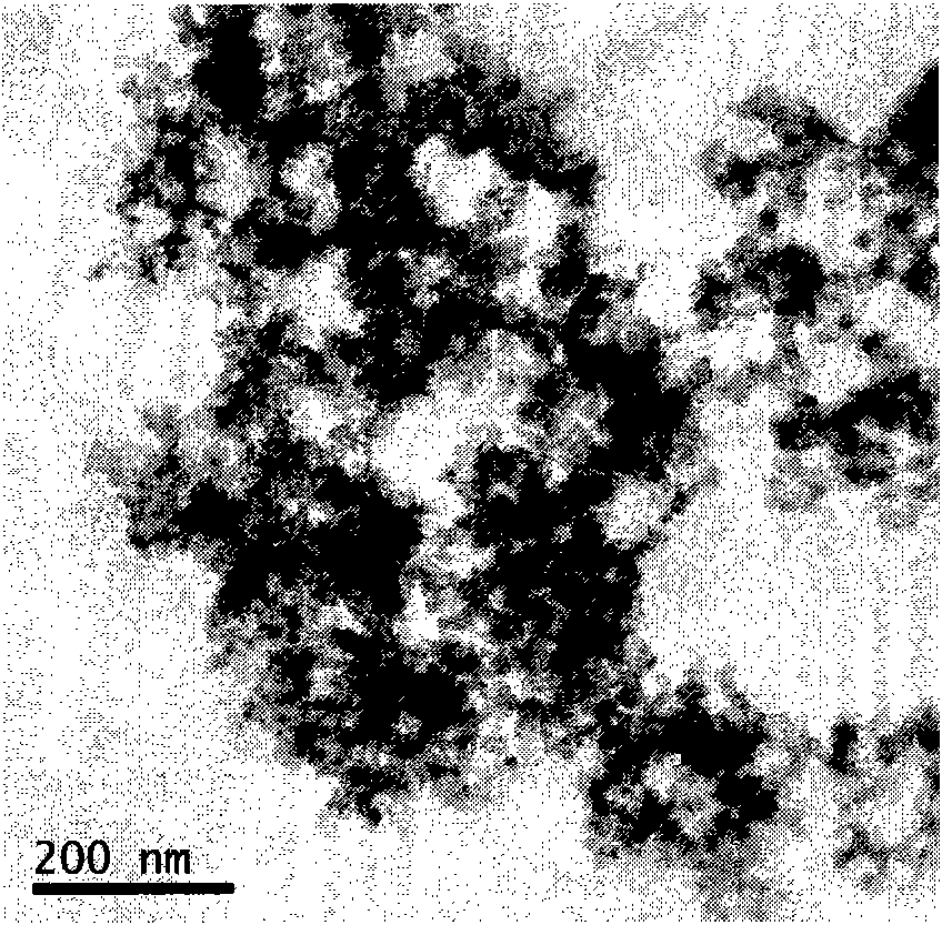 Method for preparing polyvinyl alcohol magnetic film