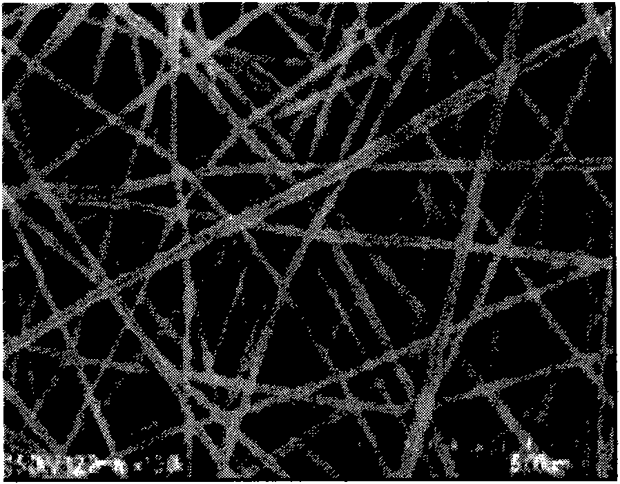 Method for preparing polyvinyl alcohol magnetic film