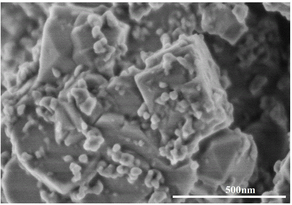 Binder-free zsm-5 molecular sieve catalyst and its preparation and use method