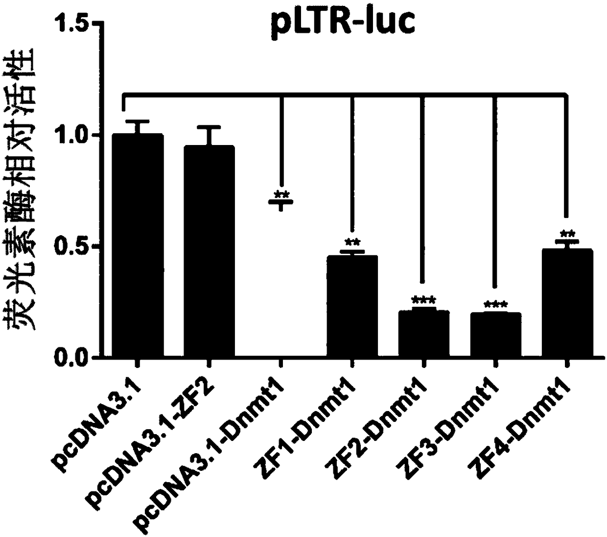 Expression vector for targeted inhibition of HIV-1 provirus expression as well as preparation method and application of expression vector