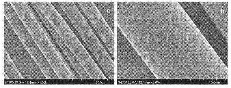 Method for preparing polyimide/silver composite electrical conductivity fibers