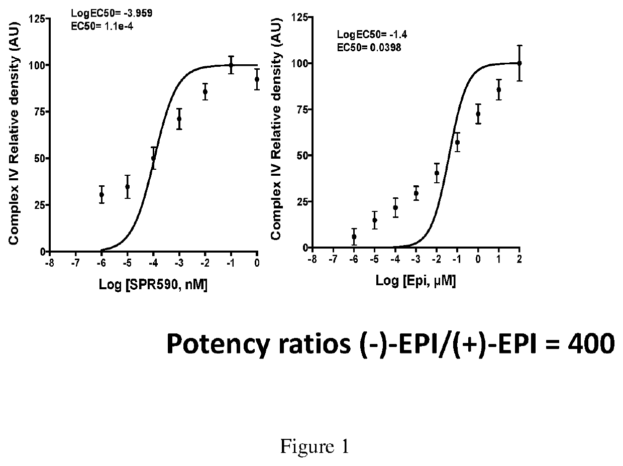 Utility of (+) epicatechin and their analogs