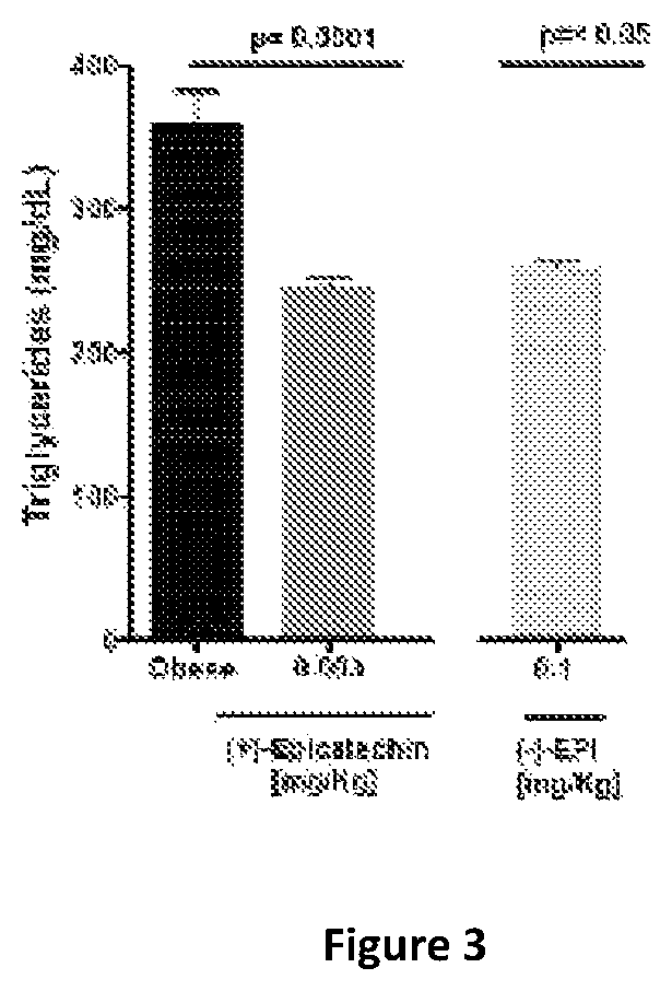 Utility of (+) epicatechin and their analogs