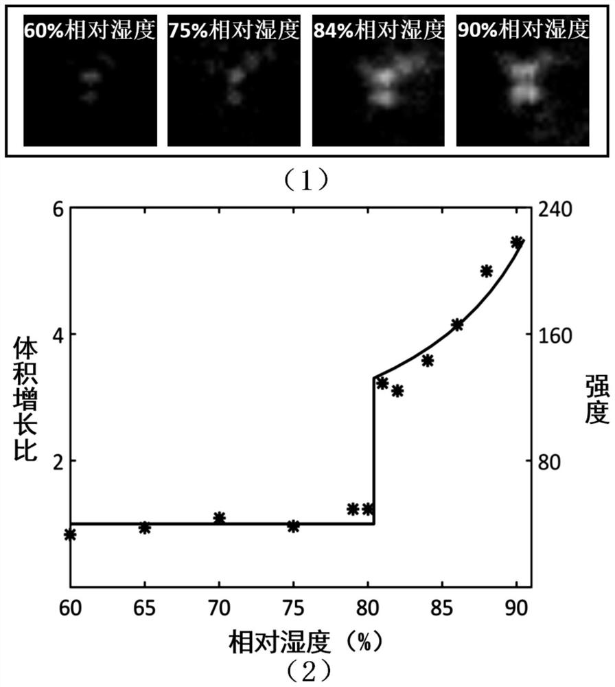 Atmospheric ultrafine particulate matter moisture absorption growth detection device based on surface wave imaging